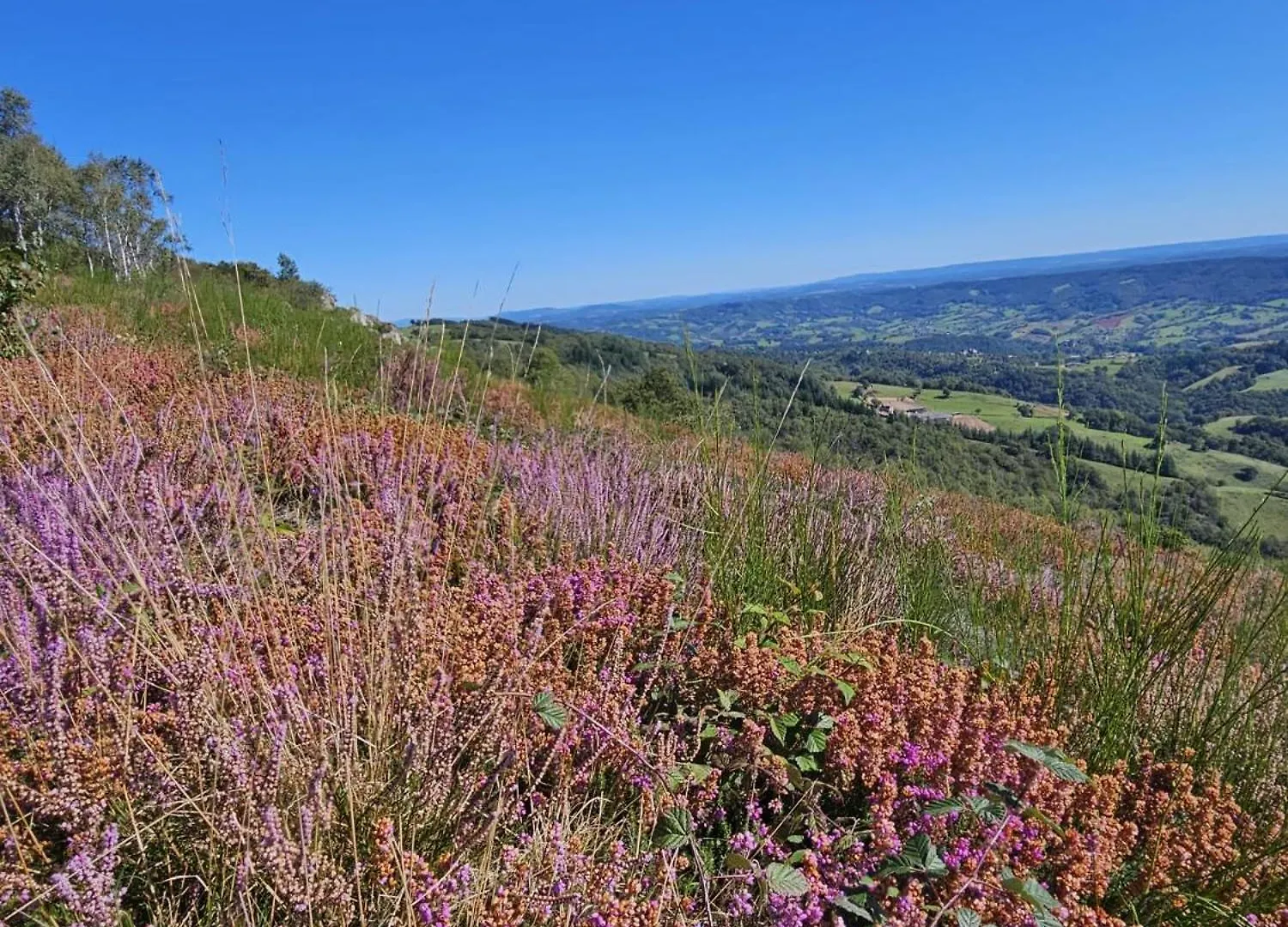 Holiday home Maison Avec Vue Exceptionnelle Et Piscine Privative Saint-Felix-de-Lunel